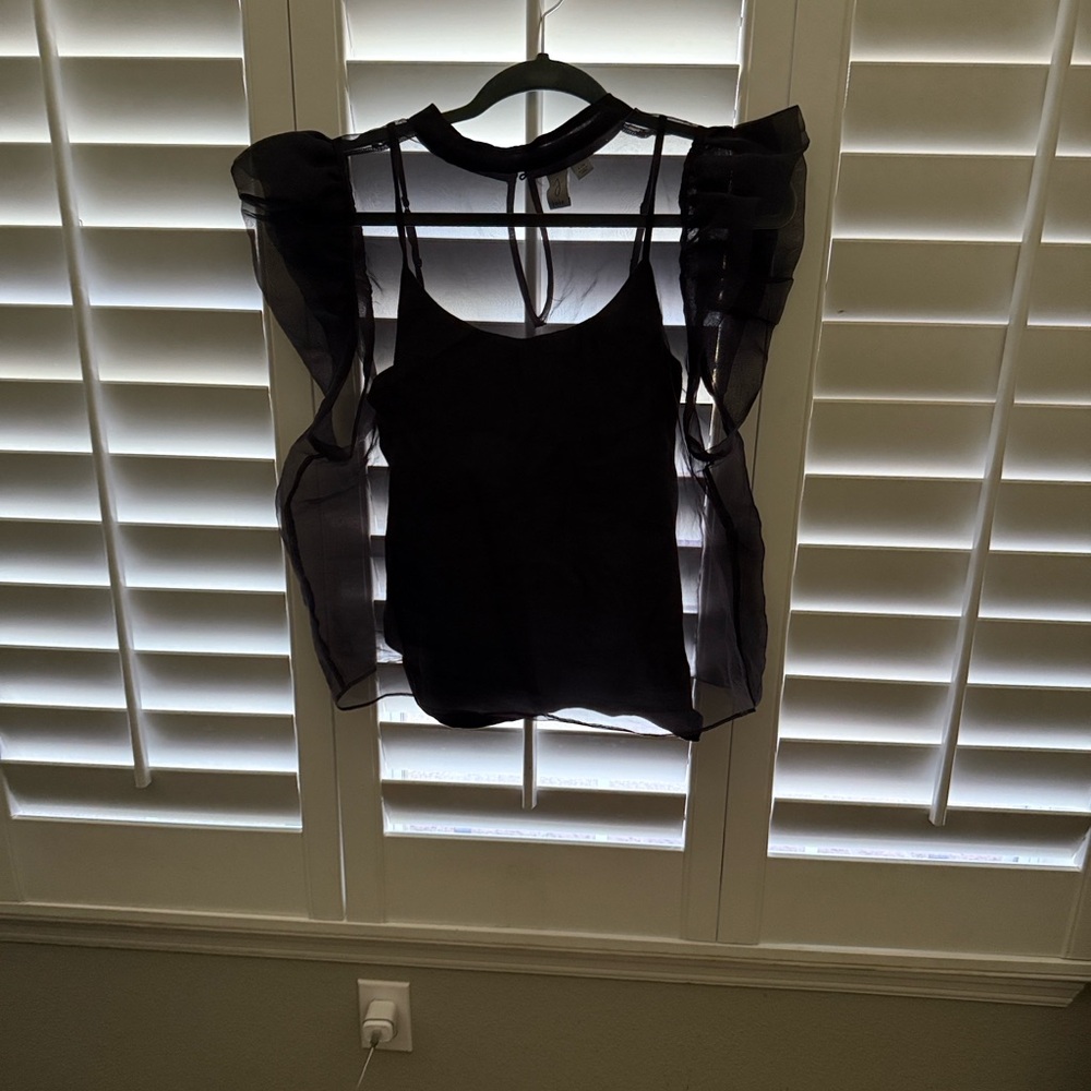 🌺Joie Black Sheer Blouse with Ruffle Detail🌺
